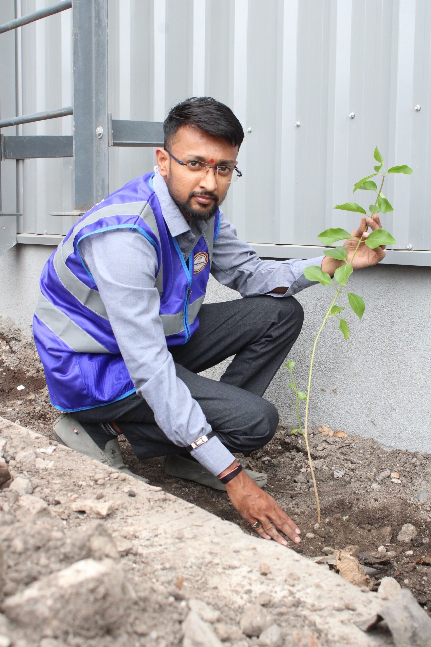 Tree Plantation