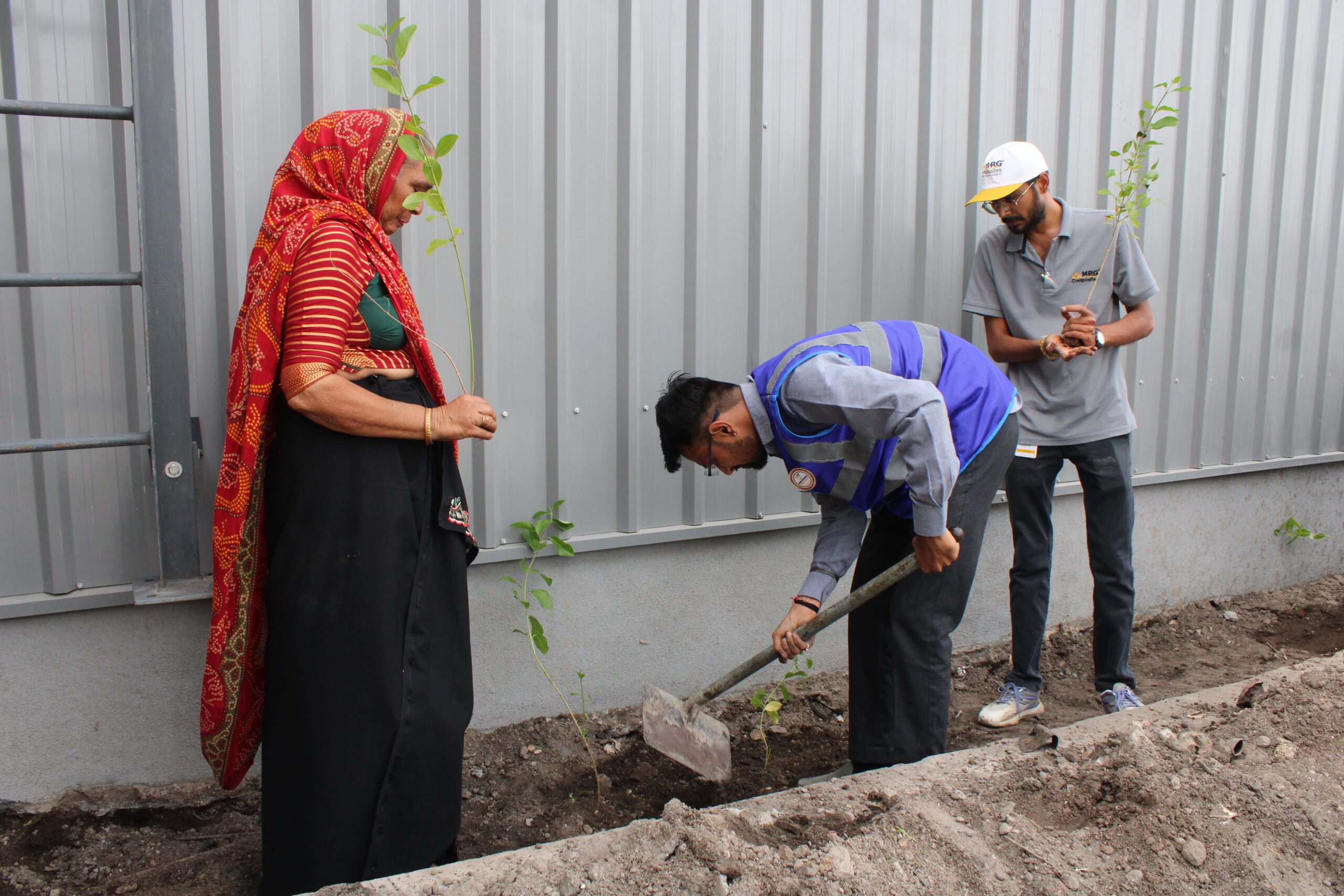 Tree Plantation