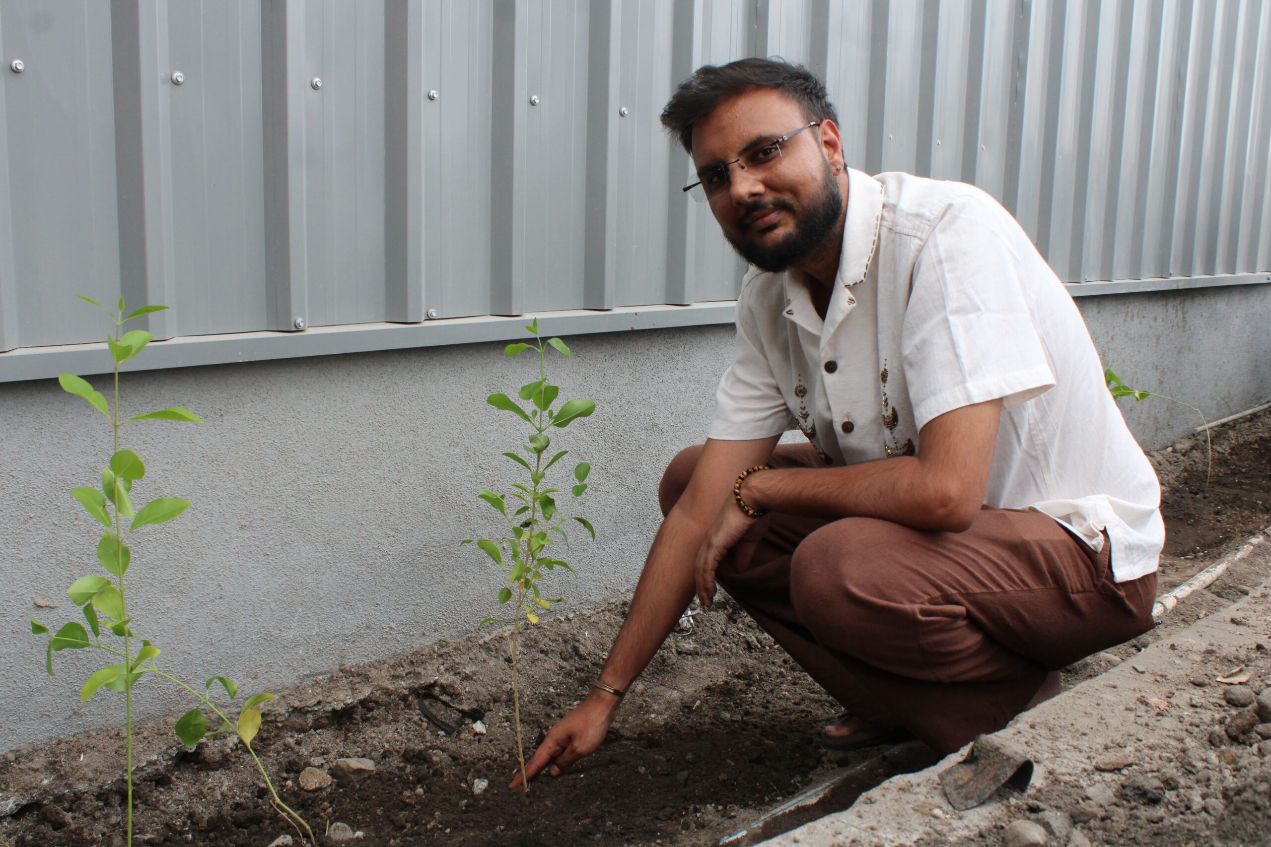 Tree Plantation