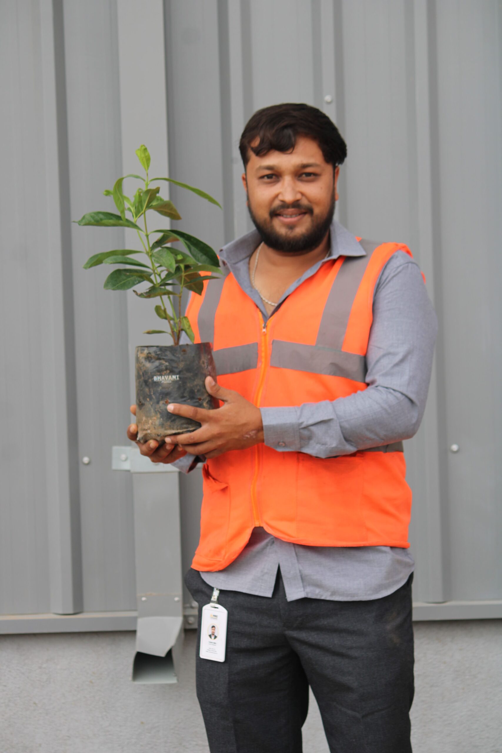 Tree Plantation