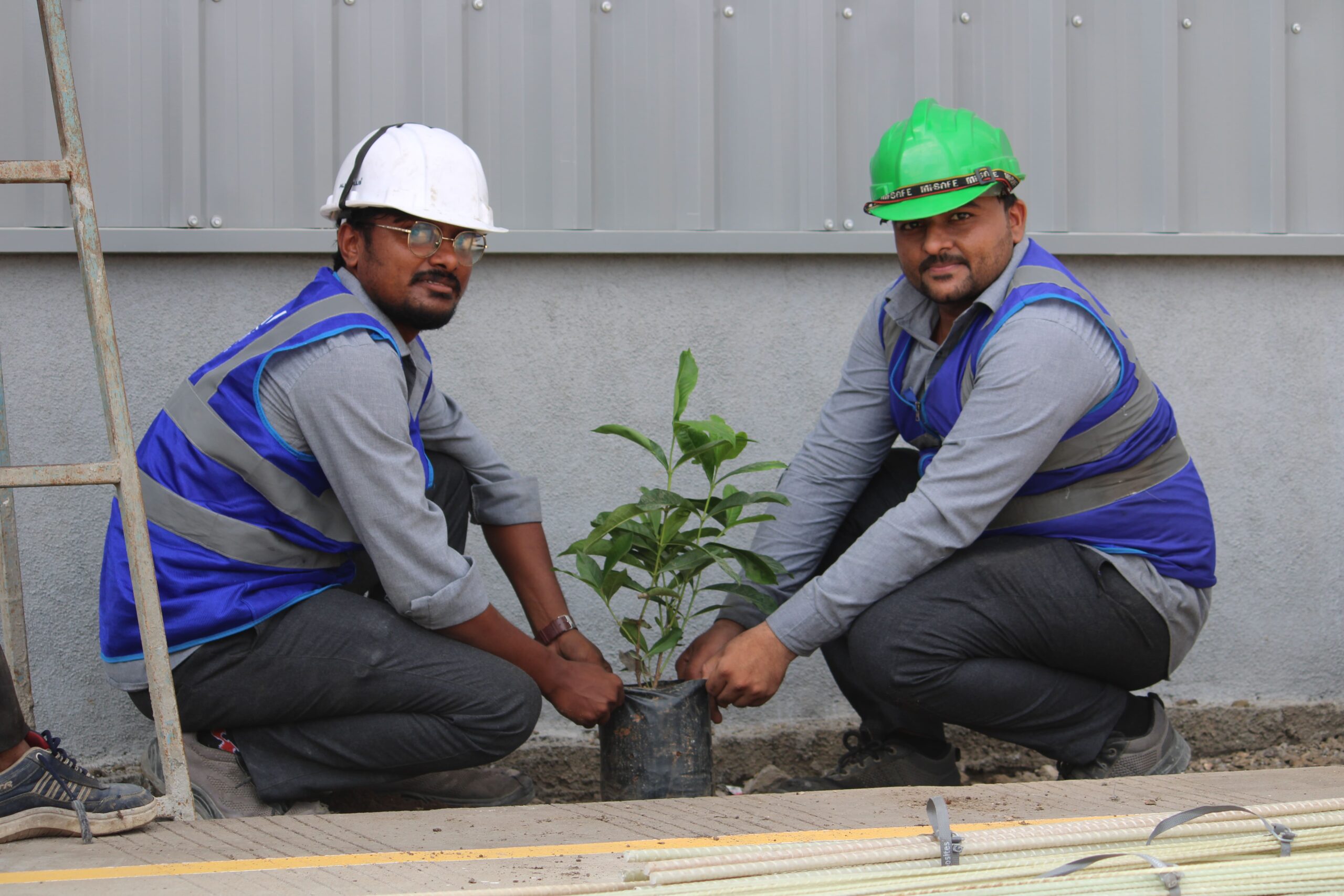 Tree Plantation
