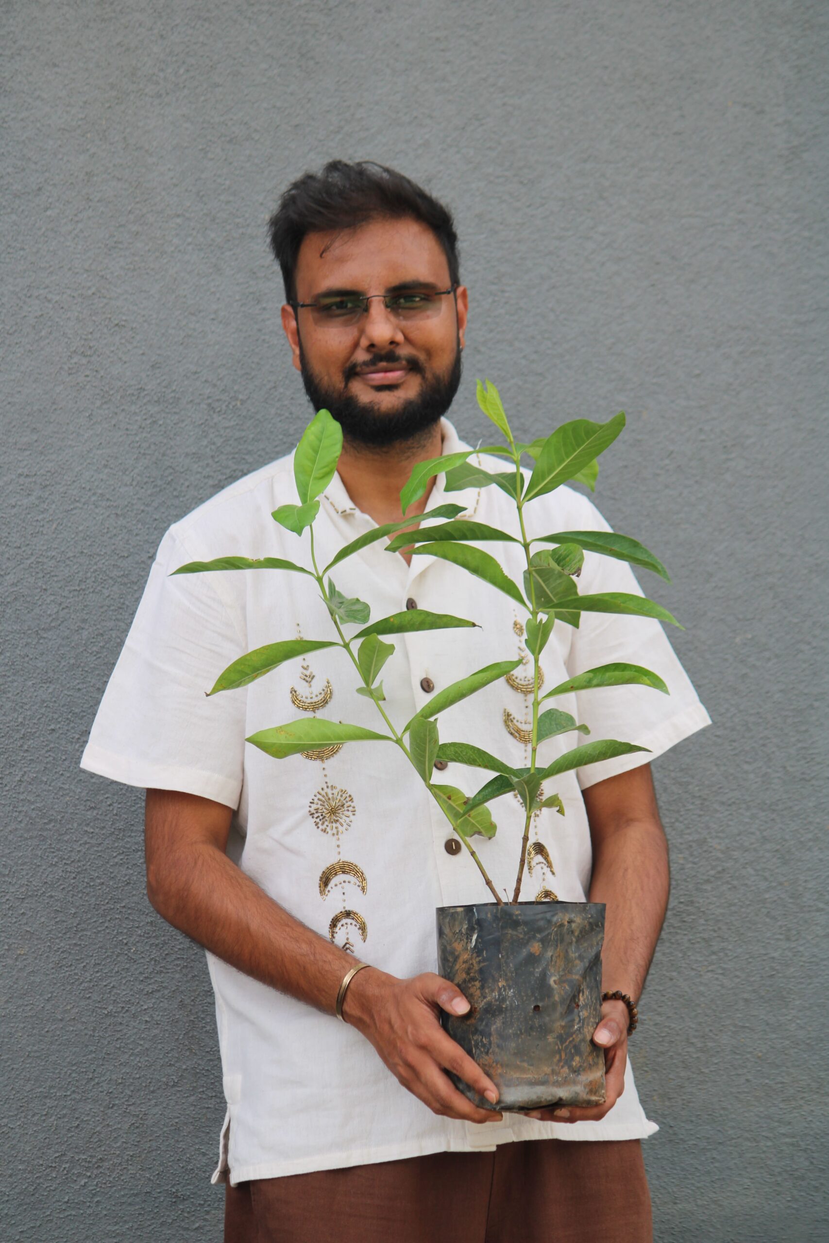 Tree Plantation
