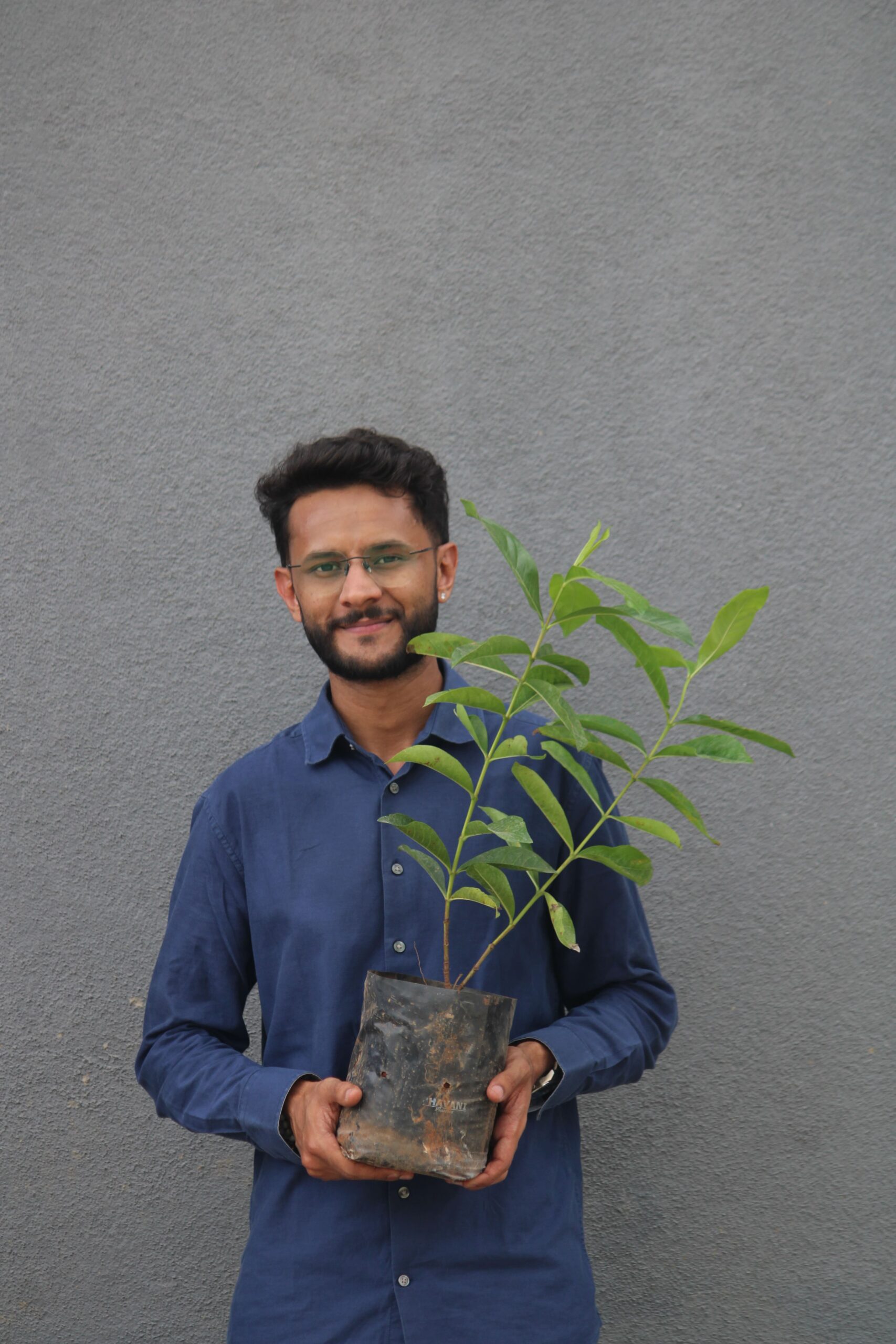 Tree Plantation