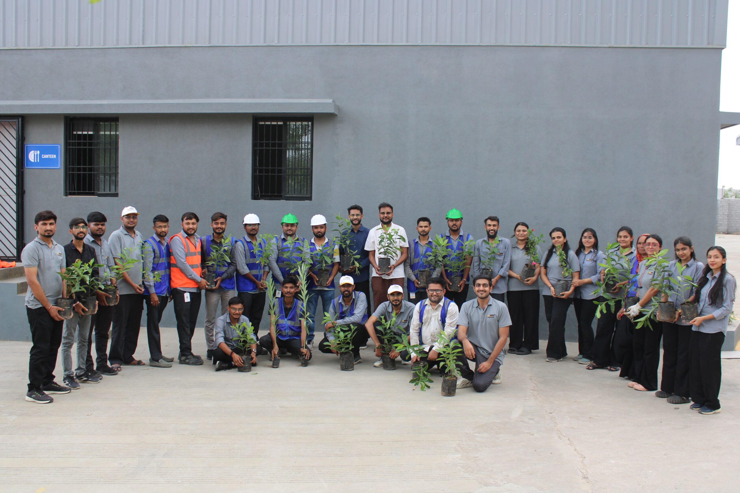 Tree Plantation