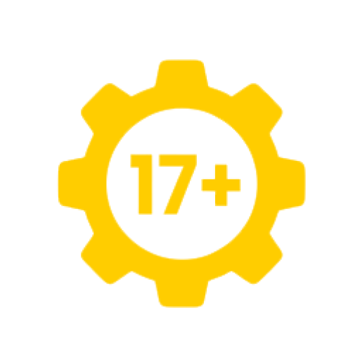 17+ Manufacturing Experience